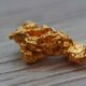 Gold Nugget