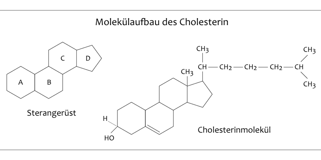 Cholesterin Strukturformel