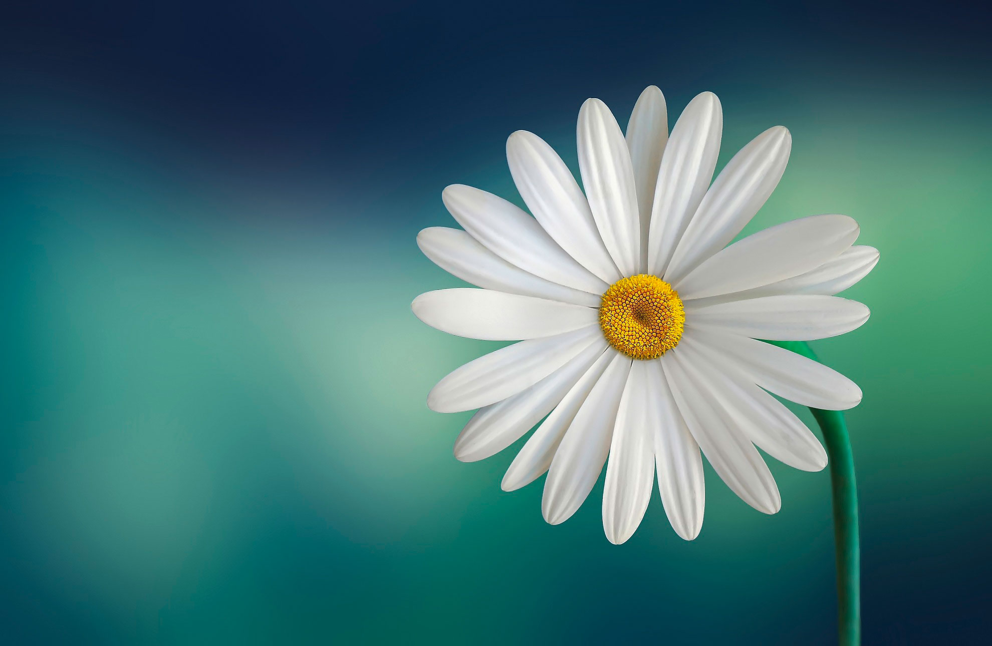 parallax background
